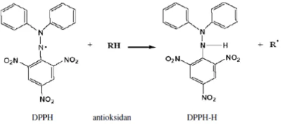 Gambar 1 .Reaksi Antara Antioksidan dan  Molekul DPPH (Prakash, 2011)