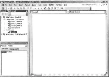 Figure 1-1. The Visual Basic Editor window. 