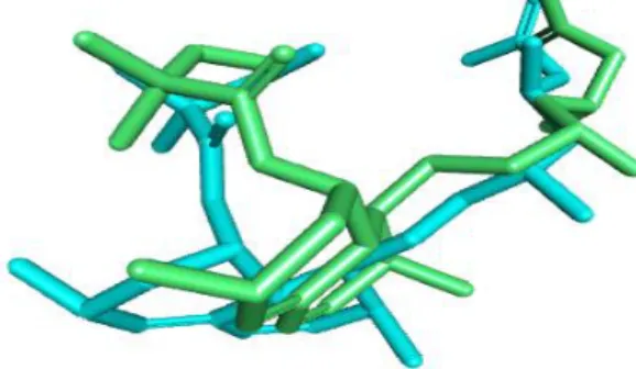 Gambar 1. Overlay posisi ligan  hasil  redocking simvastatin dengan  hasil  kristalografi  (Hijau =  hasil kristalografi dan Biru = hasil redocking) 