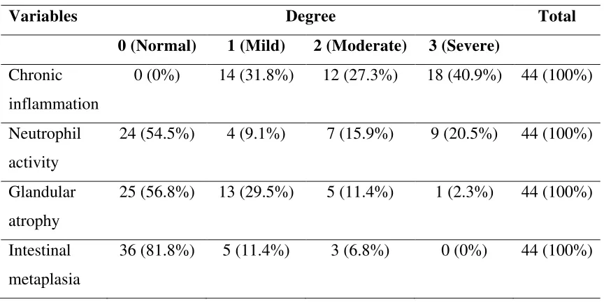 Table 4. Gastritis histopathology 