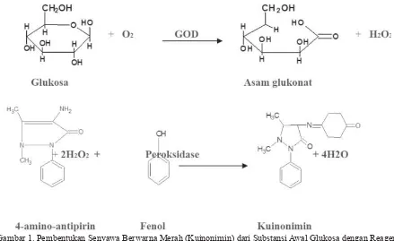 Gambar 1. Pembentukan Senyawa Berwarna Merah (Kuinonimin) dari Substansi Awal Glukosa dengan Reagen GOD PAP (Chaplin, 1996, cit Rezeki, 2005)