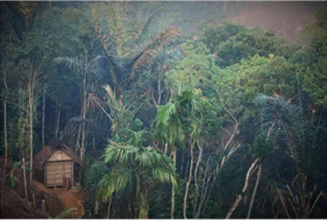 Gambar 3 Rumah Orang Baduy di Lereng Gunung Kendeng
