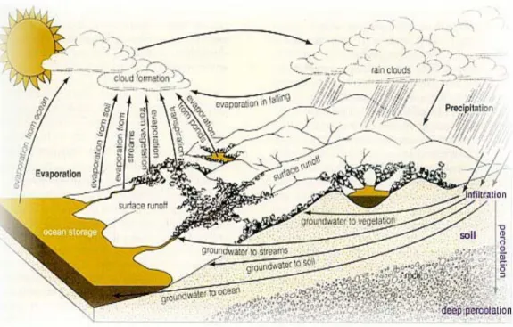 Gambar 1. Siklus Hidrologi 