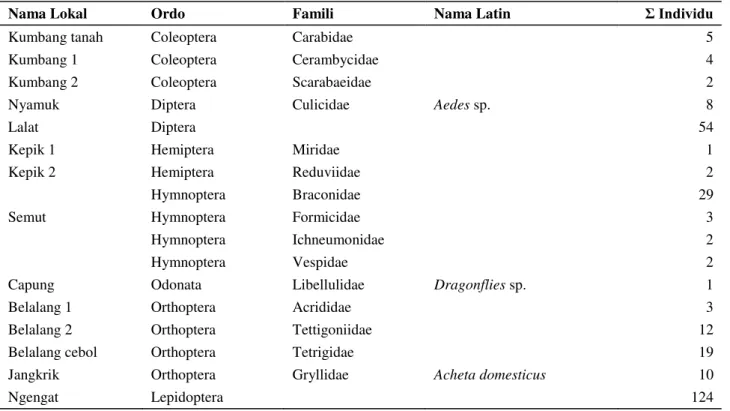 Tabel 2.  Jenis-jenis serangga yang ditemukan di lokasi penelitian 