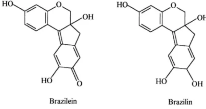 Gambar 1.1. Struktur kimia brazilin (a) dan brazilein (b)  (Wongsookin 2008) 