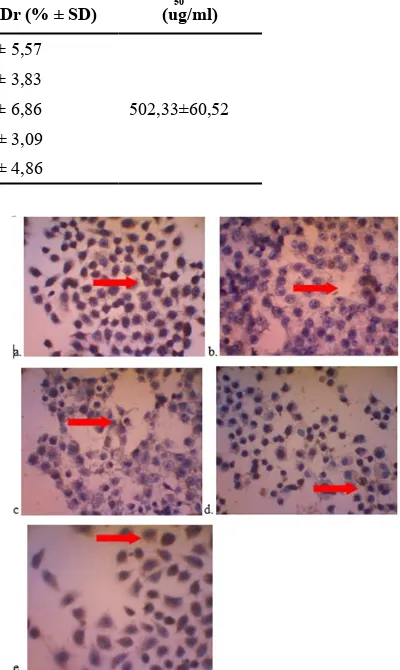 Gambar 3. Grafik hubungan konsentrasi EEP dengan rata-rata persentase ekspresi cyclin D1 pada sel WiDr setelah inkubasi 24 jam