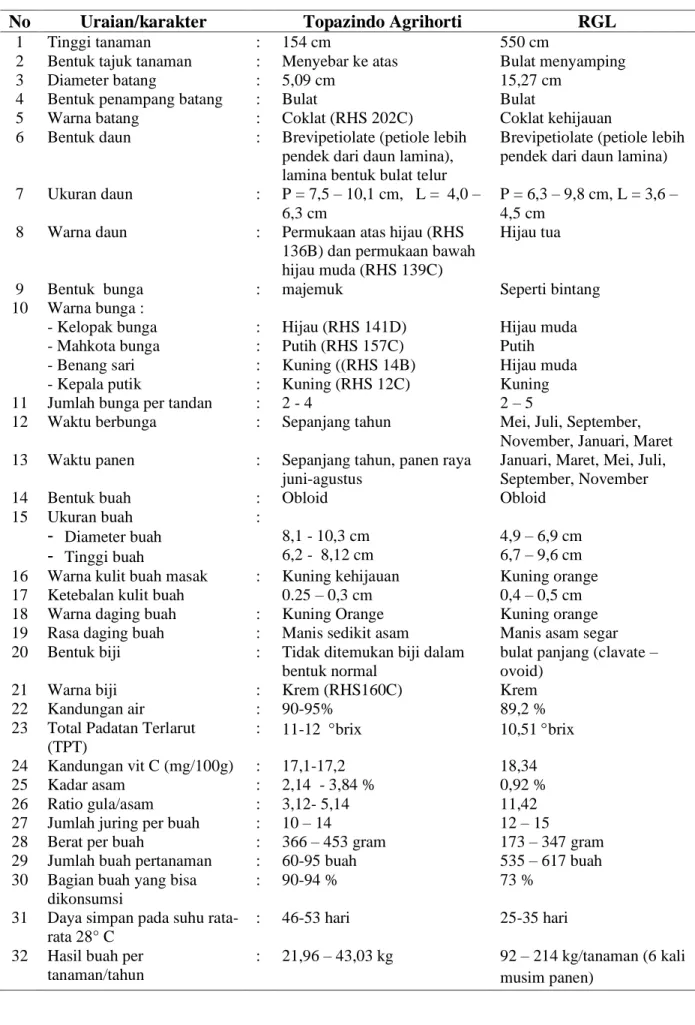 Tabel 2. Deskripsi jeruk keprok varietas Topazindo Agrihorti dan RGL 
