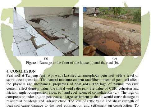 Figure 4 Damage to the floor of the house (a) and the road (b). 