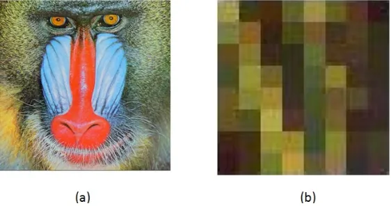 Gambar 1. (a) Gambar yang akan dikompresi. (b) Potongan Gambar (a) di pojok kiri atas.
