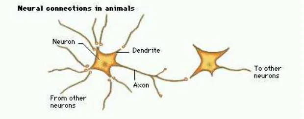 Gambar 2 sistem sel saraf 