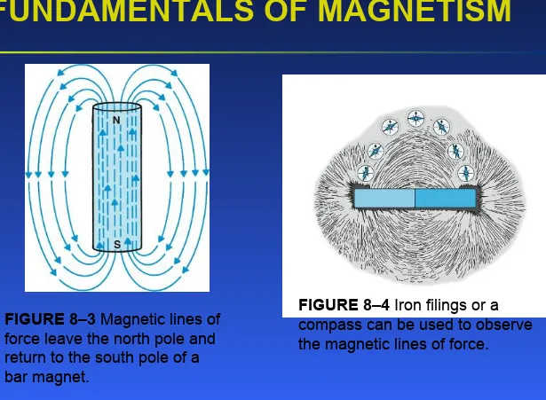 FIGURE 8–4 Iron filings or a compass can be used to observe the magnetic lines of force.