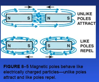 FIGURE 8–5 Magnetic poles behave like electrically charged particles—unlike poles attract and like poles repel.
