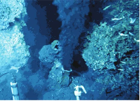 Gambar 1 .   Gumpalan Asap Hitam yang Mengandung Senyawa  Lo gam Sulfi da yang dilepaskan  dari Dasar Laut di  Se kitar Punggungan Tengah Samudera Hindia,  Pe-tun juk Adanya Aktivitas Hidrotermal Laut Dalam  (sumber:  Woods Hole Oceanographic Institution, 