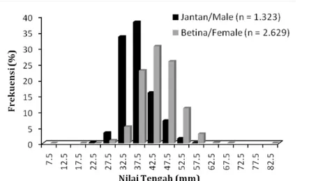 Gambar 2. Sebaran ukuran panjang karapas udang windu jantan dan betina. Figure 2 . Carapace length distribution of male and female for Indian tiger prawn