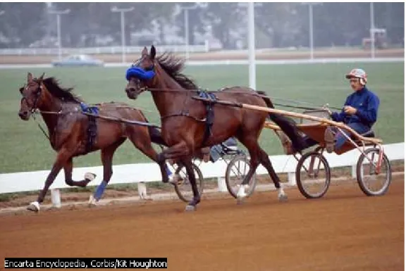 Gambar  di  atas  adalah  dua  ekor  kuda  berlomba  kecepatan  lari  mengitari  lapangan  dengan  masing-masing  menarik  kereta  yang  berpenumpang  satu  orang