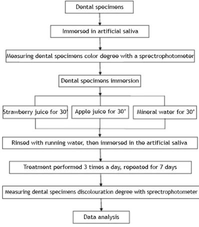 Figure 1. Average tooth whitening degrees diference in all dental specimens group before and after treatment