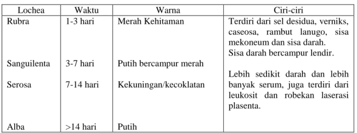 Tabel 4 Jenis-jenis Lochea 