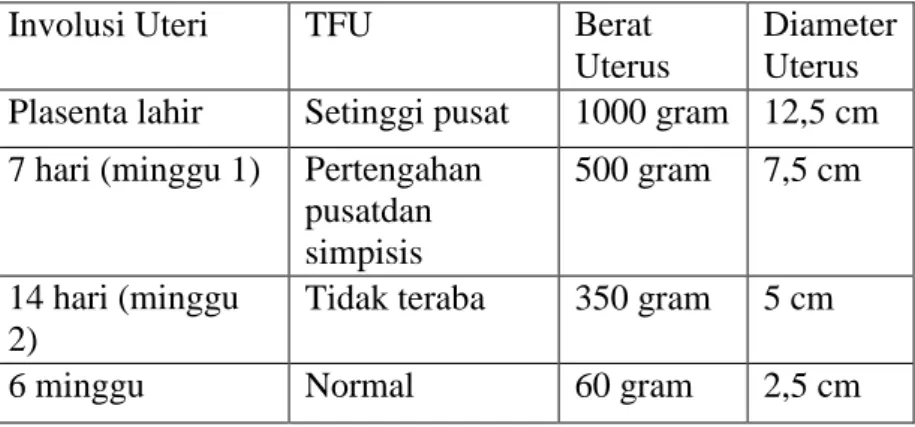 Tabel  2.  6.  Perubahan-Perubahan  Normal  Pada  Uterus 
