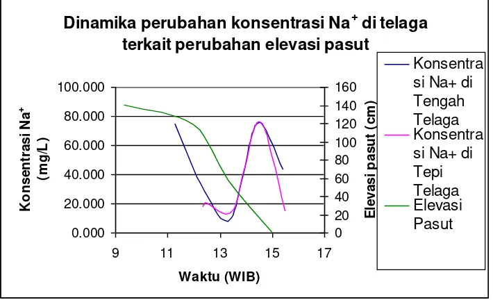 Gambar 11. Grafik dinamika perubahan konsentrasi Na+ di telaga terkait perubahan elevasi pasut  