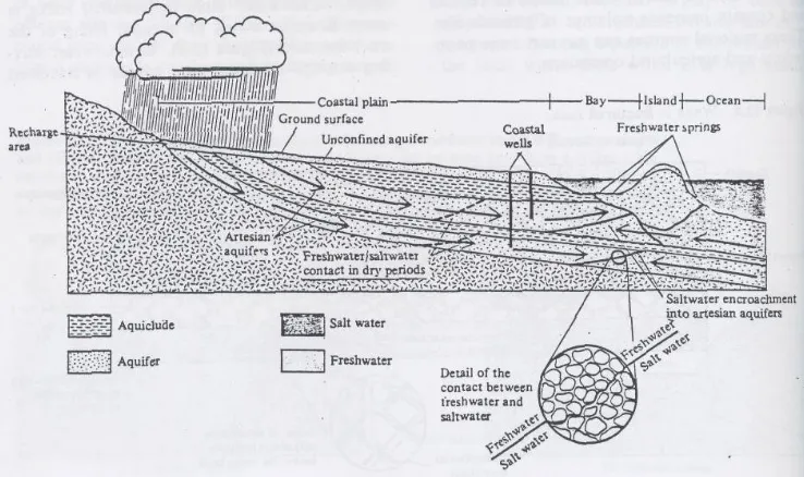 Gambar 3. Hubungan air tawar-air asin di coastal aquifer. 