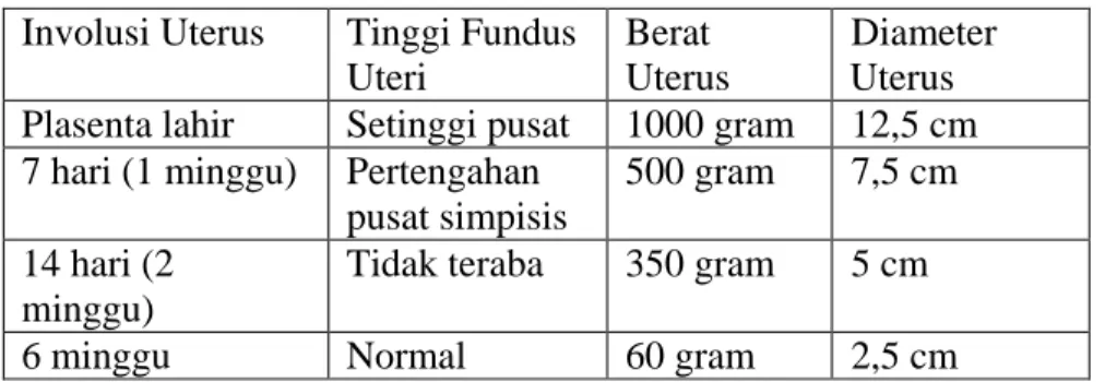 Tabel 2. 8. Perubahan normal pada uterus 