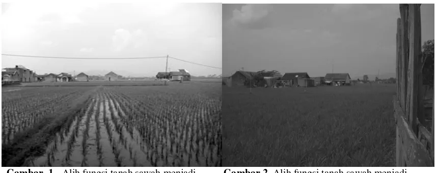 Gambar 2. Alih fungsi tanah sawah menjadi rumah petani di Kabupaten Bandung 