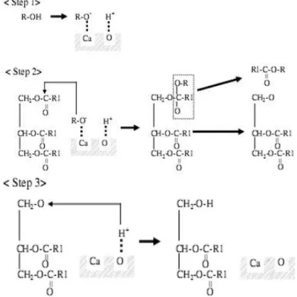 Gambar 3. Mekanisme Reaksi Transesterifikasi Trigliserida dengan Methanol Menggunakan Katalis CaO[18] 