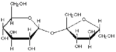 Gambar 1. Lactobacillus Bulgaricus[9]  