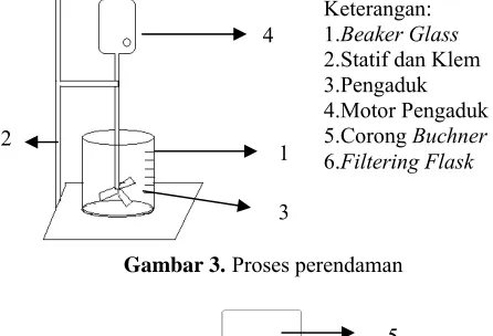 Gambar 3.  Proses perendaman 