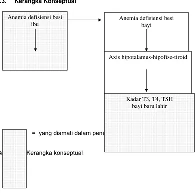 Gambar 2. Kerangka konseptual 