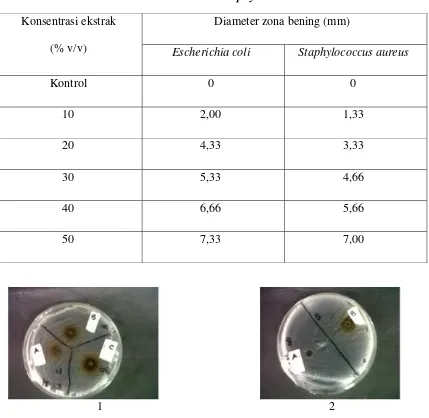  Tabel 4.2 Rataan diameter zona bening ekstrak metanol daun Sawo terhadap 
