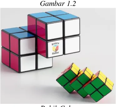 Gambar 1.2  Rubik Cube 