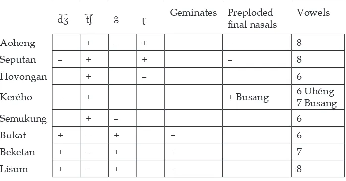 Table 6.  Key phonological features of MSP and BBL (+: common; –: rare).