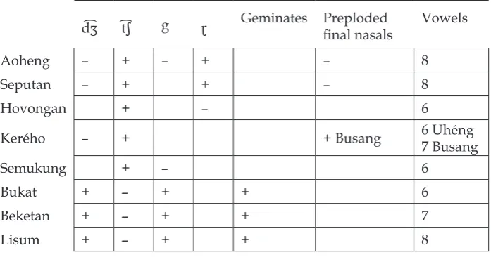Table 6.  Key phonological features of MSP and BBL (+: common; –: rare).