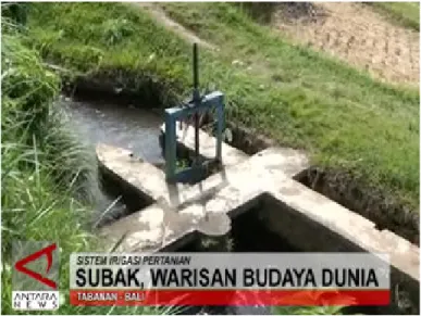 Gambar  3. Sistem irigasi Subak 