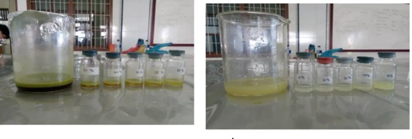 Gambar 1. Pengenceran Pengenceran Konsentrasi Air Perasan Jeruk Purut (Citrus hystrix)  a