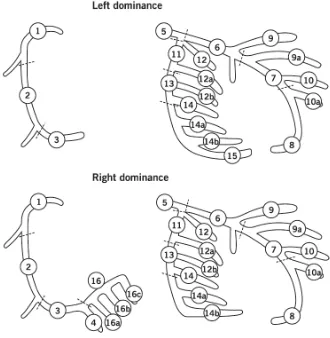 Gambar 2. Penjelasan segmen arteri koroner (Sianos dkk.2005) 