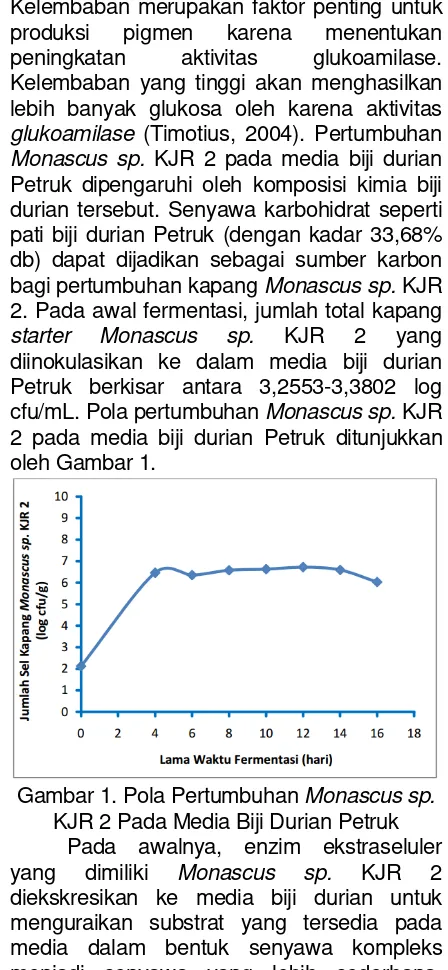 Gambar 1. Pola Pertumbuhan Monascus sp. 