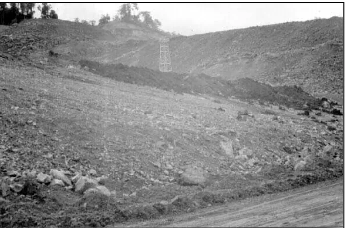 Gambar 4. Timbunan limbah batuan di lokasi pertambangan emas PT Newmont MinahasaRaya 