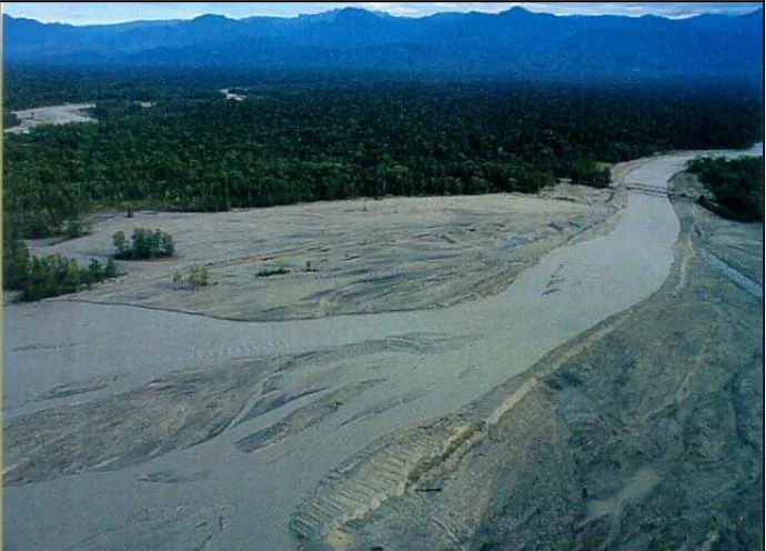 Gambar 8. Kerusakan ekosistem hutan akibat pembuangan tailing. (Sumber PT Freeport Indonesia, 1998)  