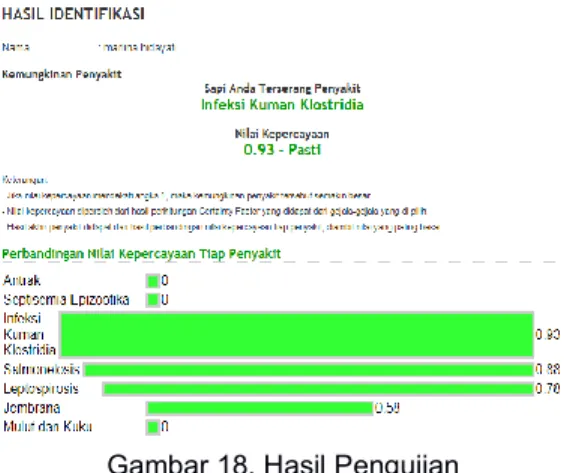 Gambar 18. Hasil Pengujian 