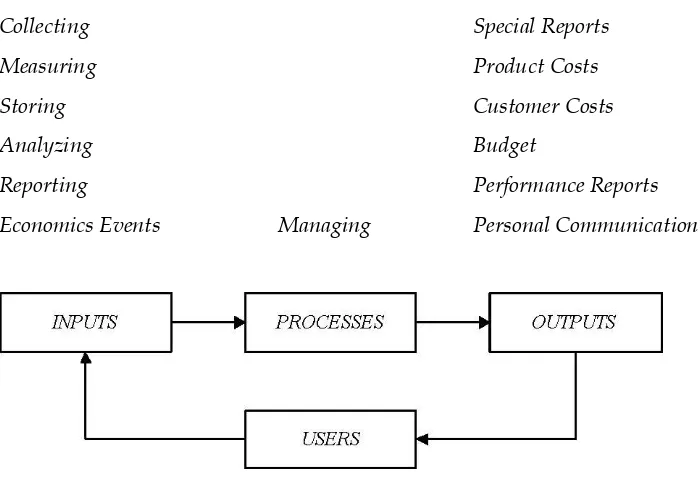 GAMBAR 2. Operational Model: Management Accounting Information System 
