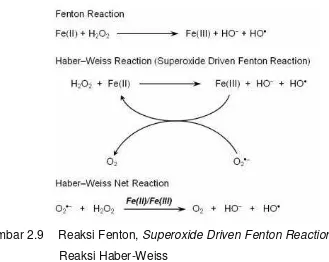 Gambar 2.9 Reaksi Fenton, Superoxide Driven Fenton Reaction dan    