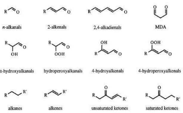 Gambar 2.11 Beberapa Produk Akhir Peroksidasi Lipid 