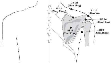 Gambar 1.  Titik Akupresur Fungsi Ektremitas Atas  (Sumber: Shin & Lee, 2007) 