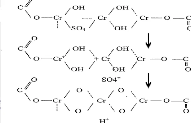 Gambar 2 Struktur ikatan silang krom dengan kolagen                                         Sumber : Thorstensen (1985) 