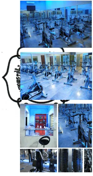 Gambar 2.2, Peralatan gym yang lengkap 