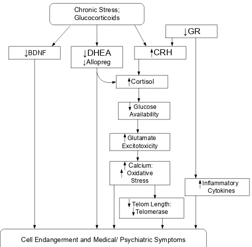 Gambar 1.  Model penuaan sel atau kerusakan sel pada depresi (Wolkowitz et al., 2010).