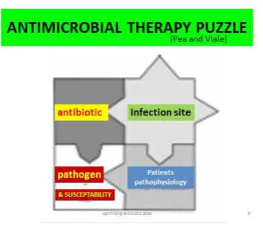 Figure 1  : Antibiotic therapy treatment