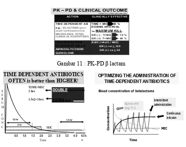 Gambar 11 : PK-PD β lactam